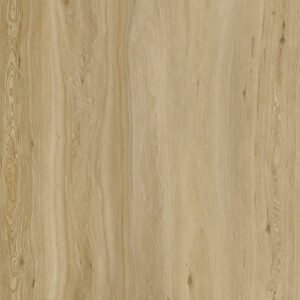 TFE LVT Builder's Line A 2/0.3x187x1227 Dryback Classic Oak Glue Down