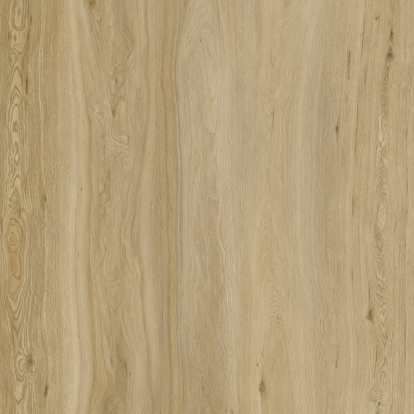 TFE LVT Builder's Line A 2/0.3x187x1227 Dryback Classic Oak Glue Down