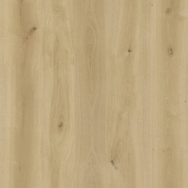 TFE LVT Eco Line 5.2/0.3x181x1220 (1mm IXPE) SPC Click Urban Natural Glue Down